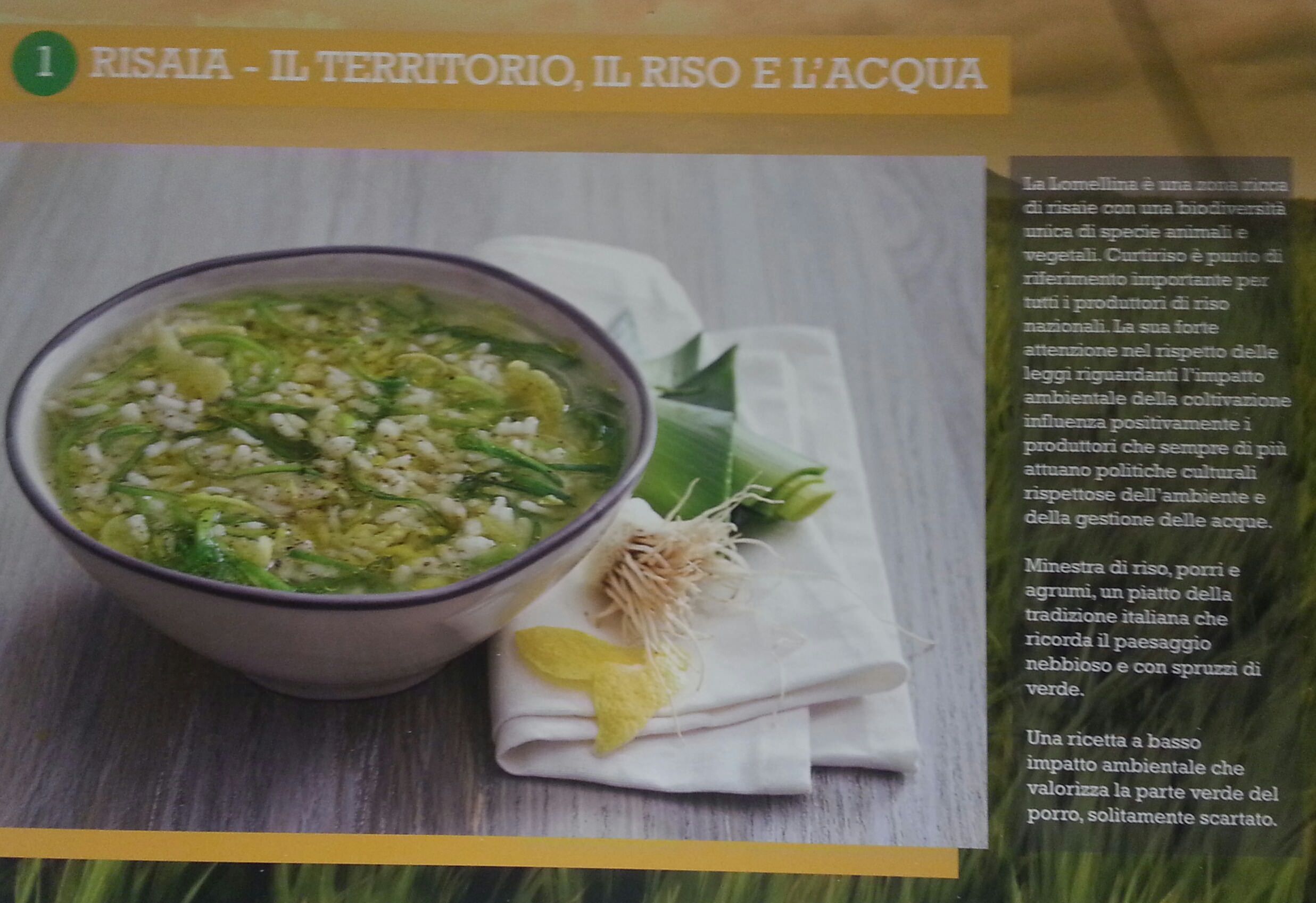 percorsi green risaia