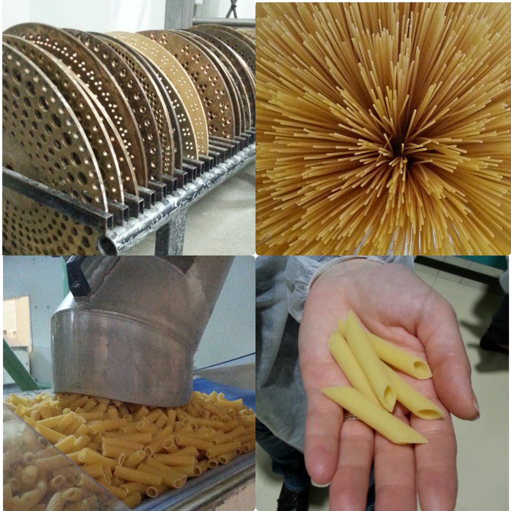 Dal grano alla pasta: pastificio La Molisana