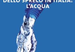 Il libro blu dello spreco in Italia: l'acqua. Di Andrea Segrè e Luca Falasconi. Ed. Ambiente Tascabili. 208 pagg., 14 euro
